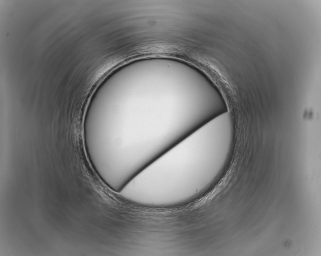X0000096381073200801240958