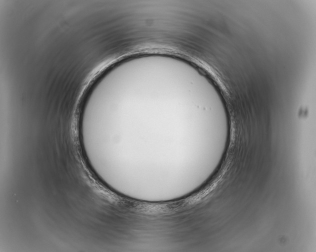 X0000096381074200801240958