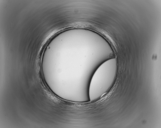 X0000096381075200801240958