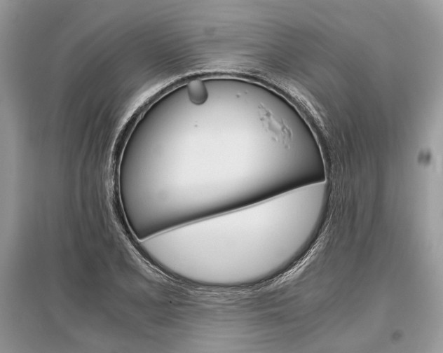 X0000096381077200801240958