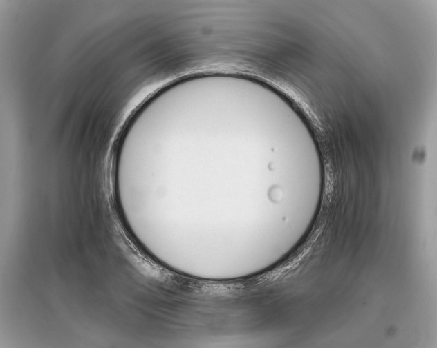 X0000096381078200801240958