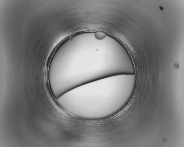 X0000096381079200801240958