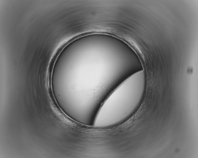 X0000096381080200801240958