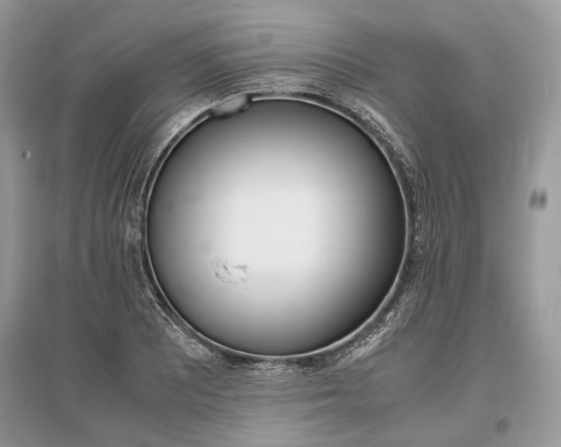 X0000096381081200801240958