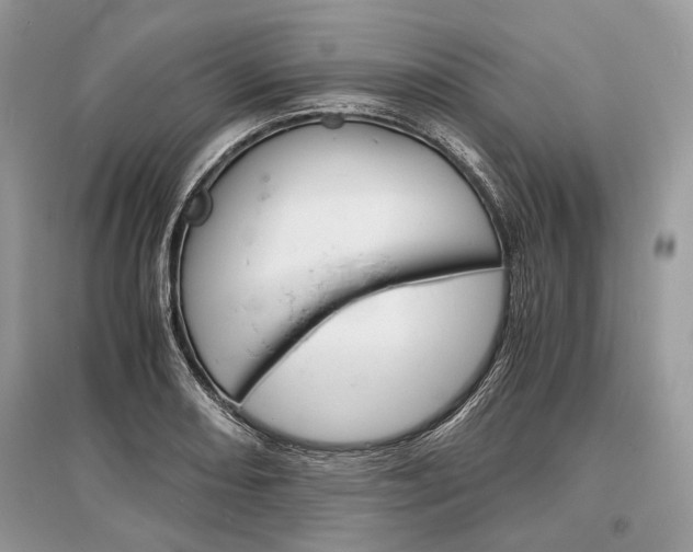 X0000096381082200801240958