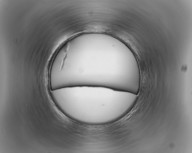 X0000096381083200801240958