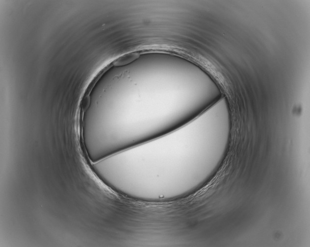 X0000096381084200801240958