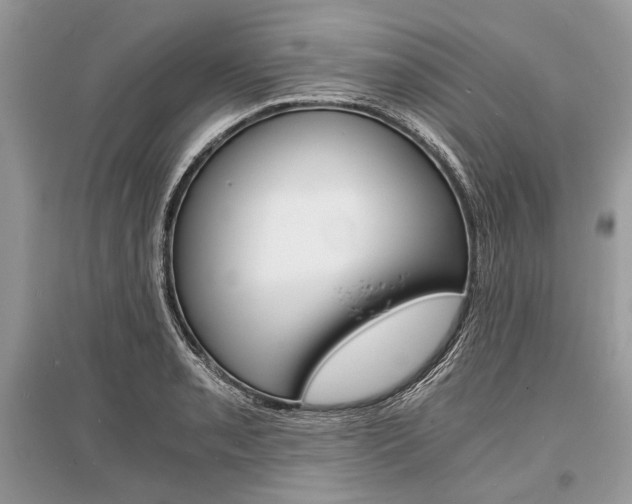 X0000096381085200801240958