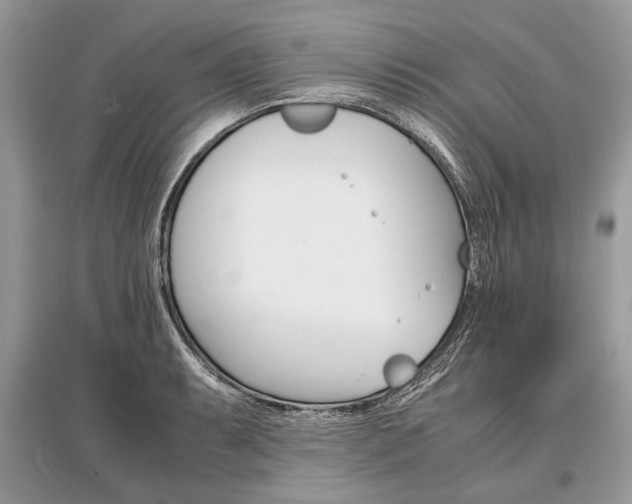 X0000096381087200801240957