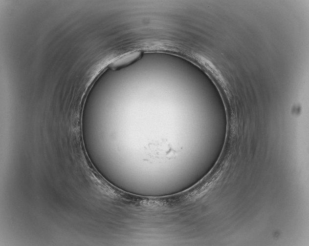X0000096381089200801240957
