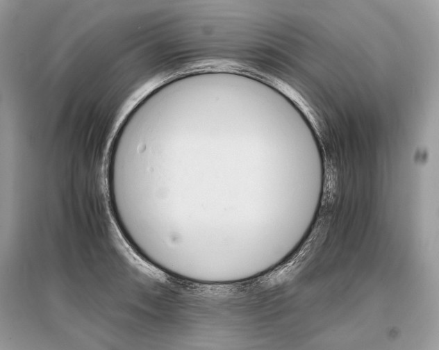 X0000096381090200801240957