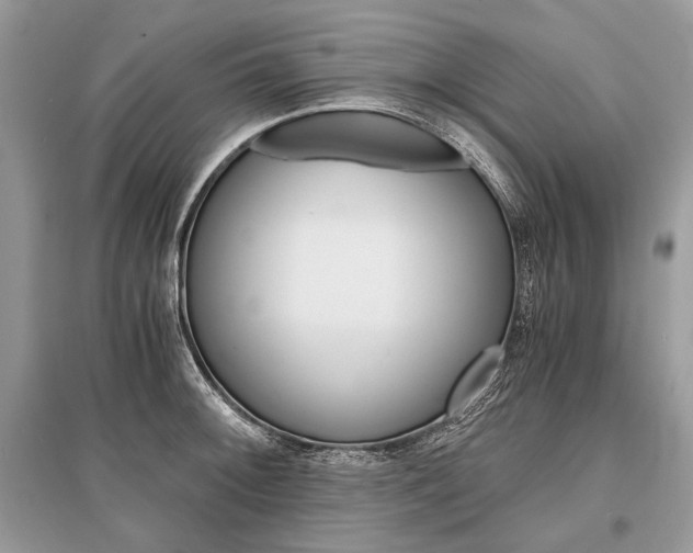 X0000096381092200801240957