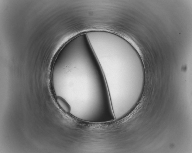 X0000096381093200801240957