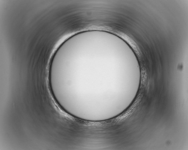 X0000096381094200801240957