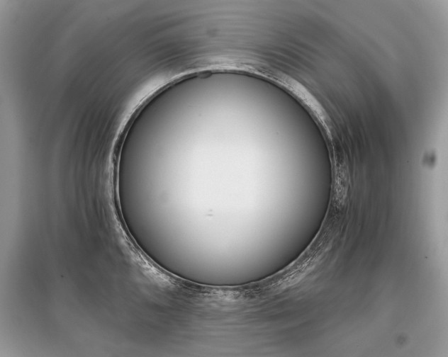 X0000096381096200801240957