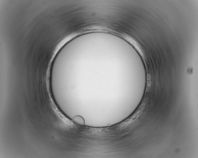 X0000096381098200801240957