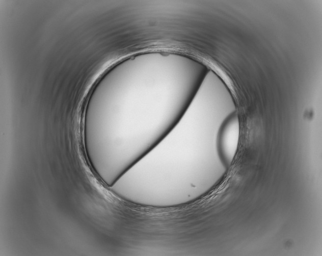 X0000096381099200801240957