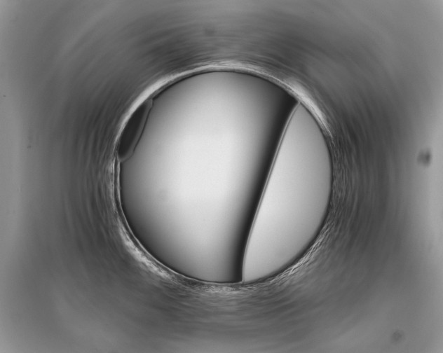 X0000096381100200801240957