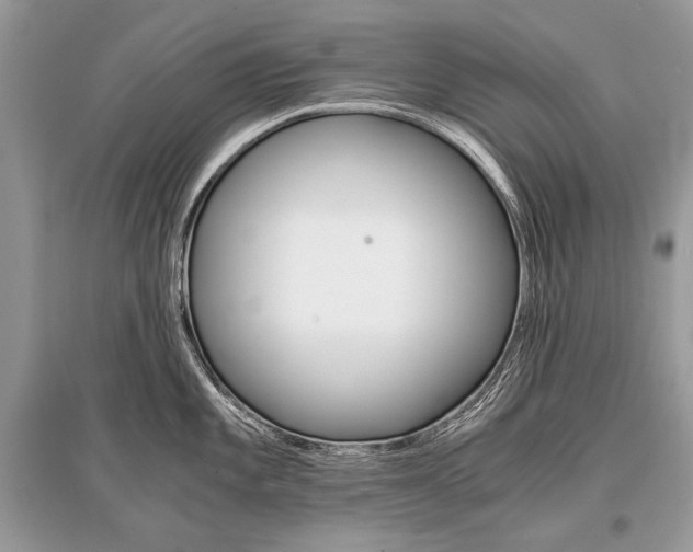 X0000096381101200801240957