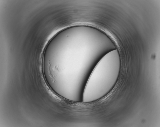 X0000096381102200801240957