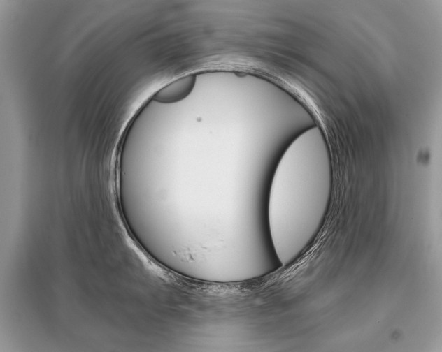 X0000096381103200801240957