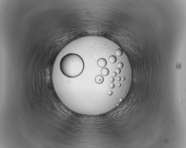X0000096381106200801240956