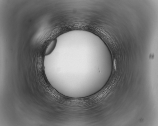 X0000096381107200801240956