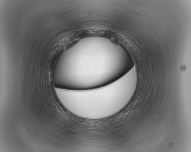 X0000096381108200801240956