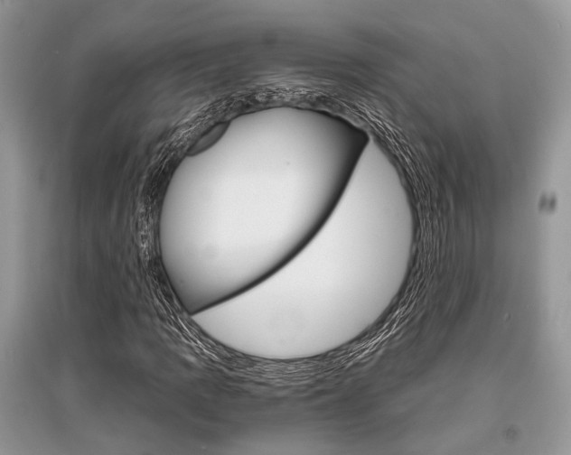 X0000096381109200801240956