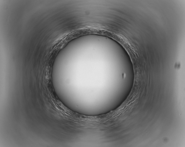 X0000096381110200801240956