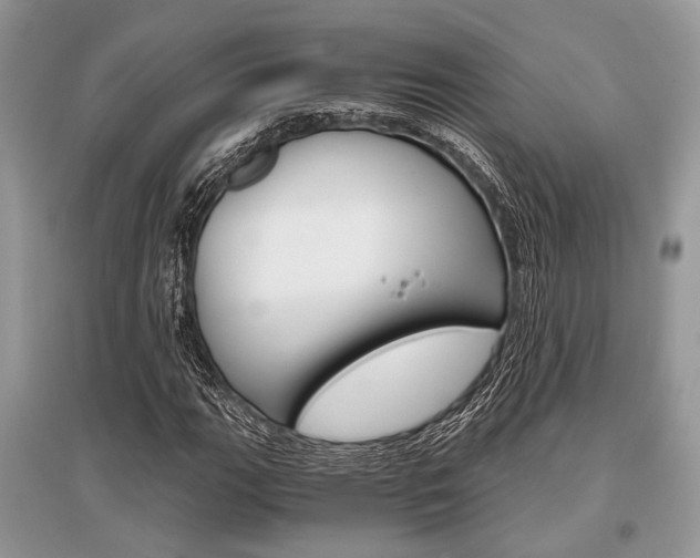 X0000096381111200801240956