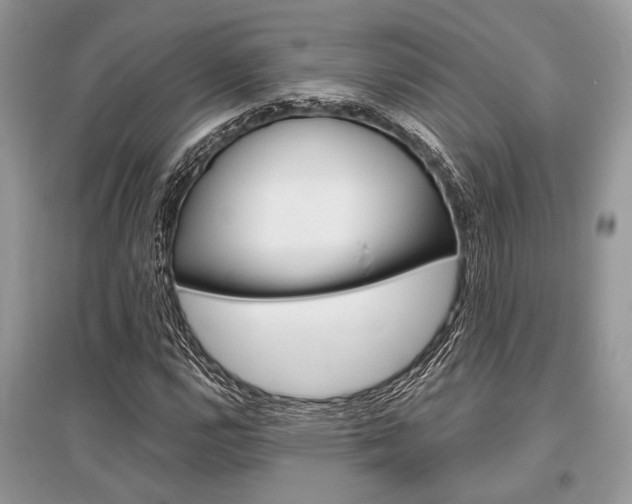 X0000096381112200801240957