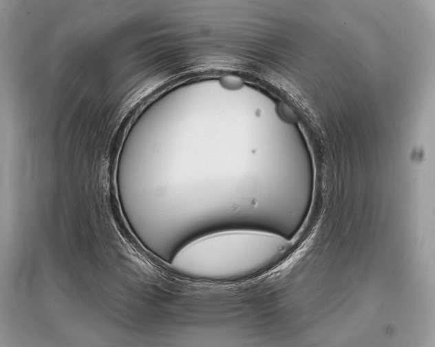 X0000096381113200801240957
