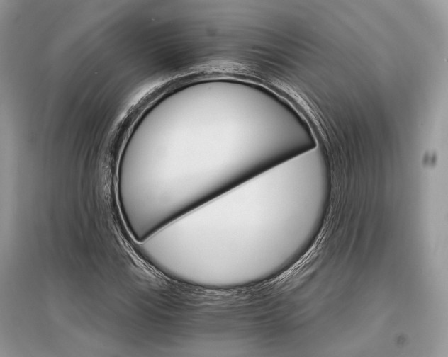 X0000096381115200801240957