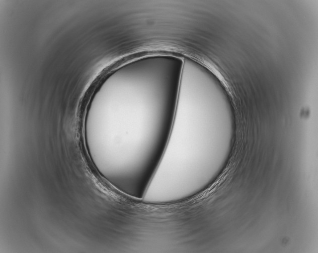 X0000096381116200801240957