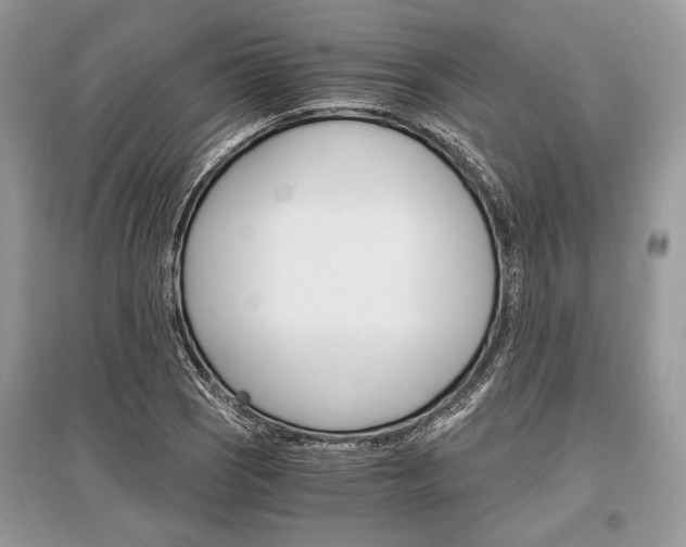 X0000096381121200801240957