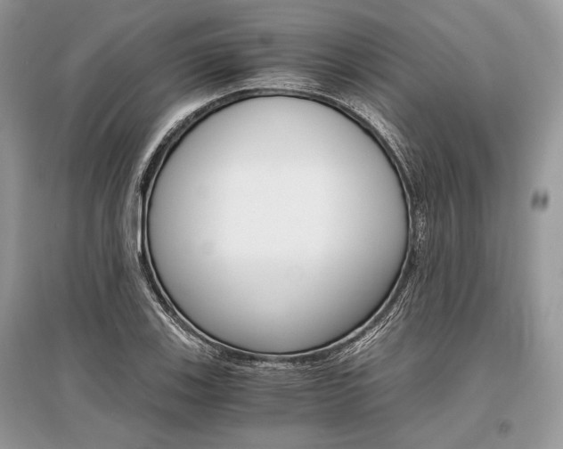 X0000096381123200801240957