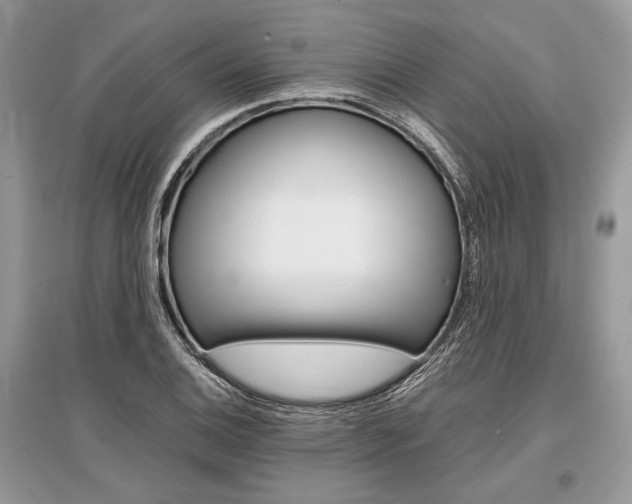 X0000096381124200801240957