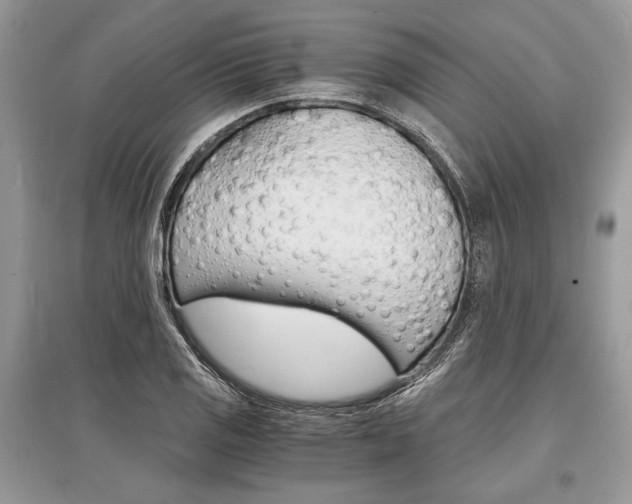 X0000096381125200801240957