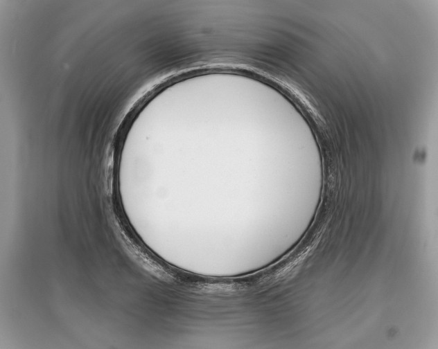 X0000096381126200801240957