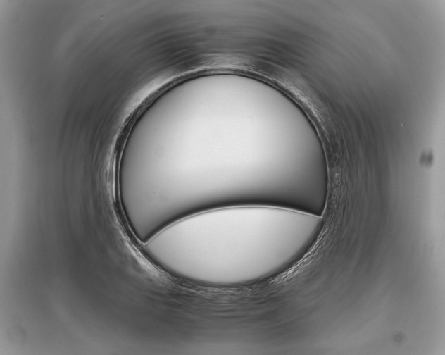 X0000096381127200801240957