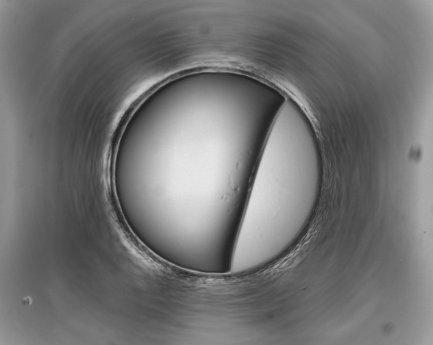 X0000096381128200801240957