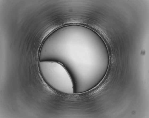 X0000096381129200801240957