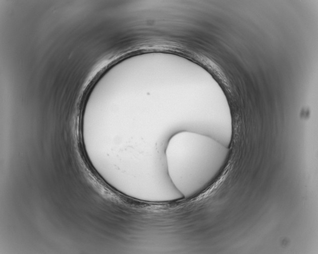X0000096381130200801240957