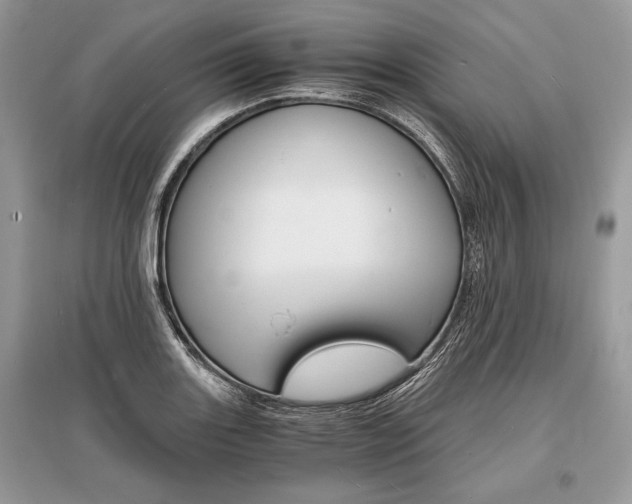 X0000096381131200801240957
