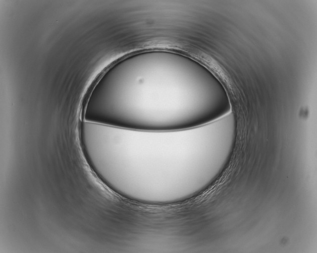 X0000096381132200801240957