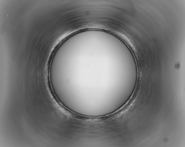 X0000096381133200801240957