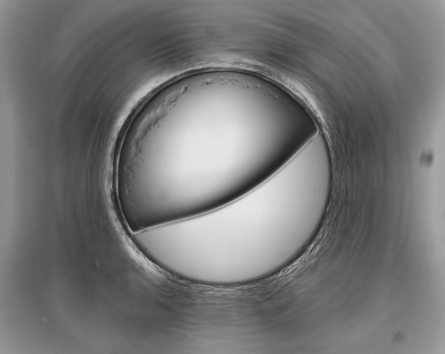 X0000096381136200801240957
