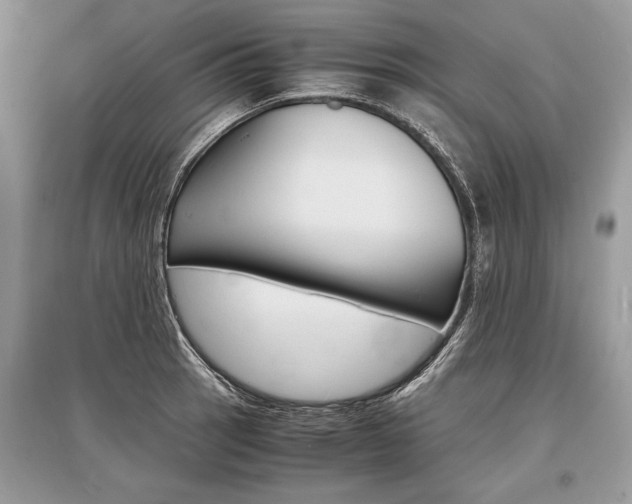 X0000096381137200801240957