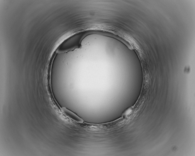 X0000096381138200801240957